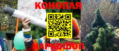 ПСИЛОЦИБИНОВЫЕ ГРИБЫ Бердск