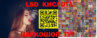 ПСИЛОЦИБИНОВЫЕ ГРИБЫ Бердск