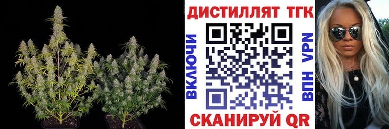 ТГК вейп с тгк  MEGA как войти  Морозовск 